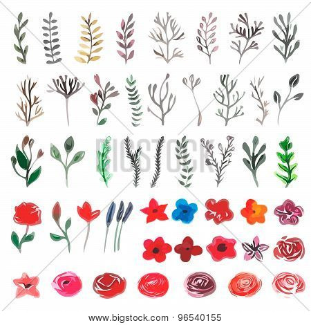 Vector Floral Set. Colorful Floral Collection With Leaves And Flowers, Drawing Watercolor. Spring Or