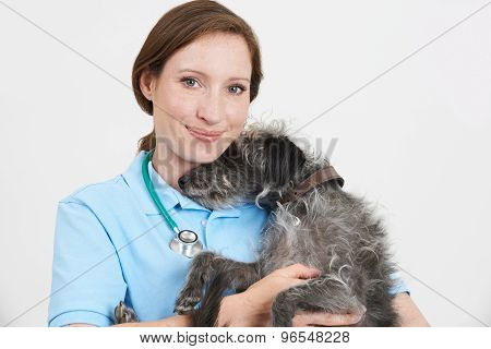 Studio Portrait Of Female Veterinary Surgeon Holding Lurcher Dog