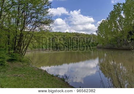 Small dam in the beautiful forest