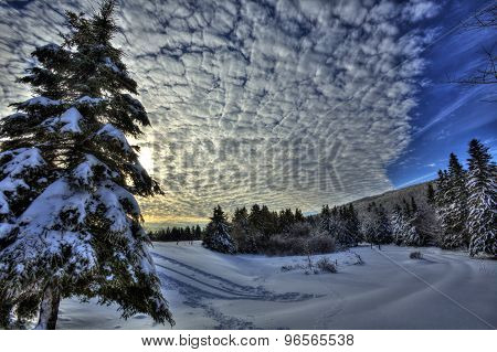 Hdr Canada Snow Sky Trees