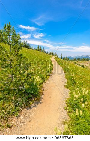 Beautiful Mountain Trail. Blackwall Peak Trail at Manning Park in British Columbia. Canada.