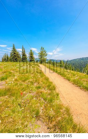 Beautiful Mountain Trail. Blackwall Peak Trail at Manning Park in British Columbia. Canada.