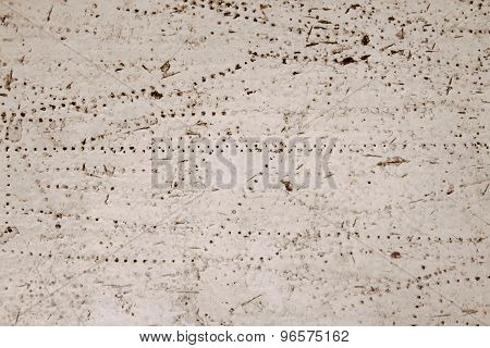 wood and white paint texture