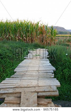 Wood Bridge