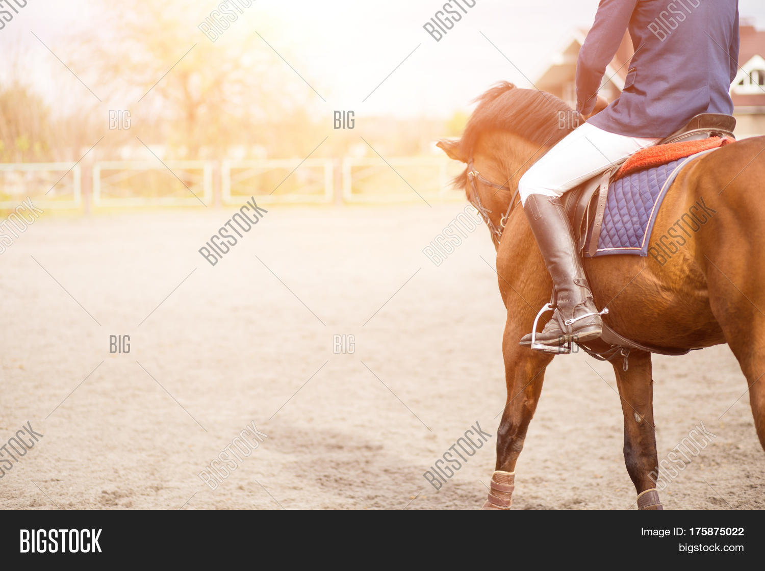 Young Horseback Rider Image & Photo (Free Trial) | Bigstock