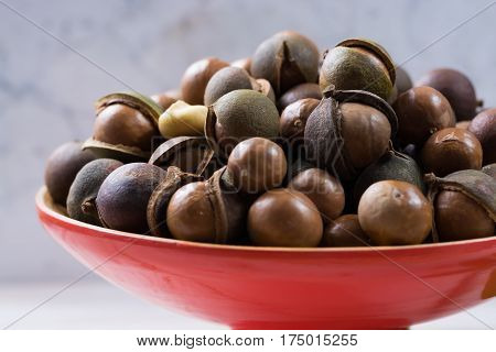 Macadamia nuts harvest close up with leaves