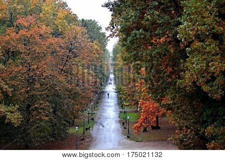 Autumn rainy day in Maksimir park Zagreb Croatia
