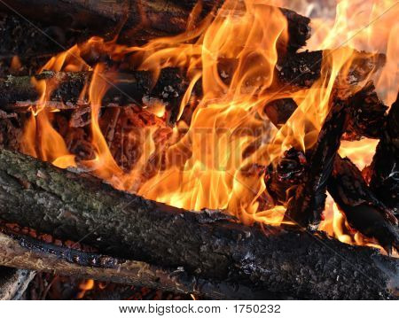Wood Burning In Fire