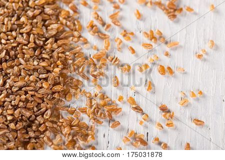Close-up view of kamut Khorasan wheat.