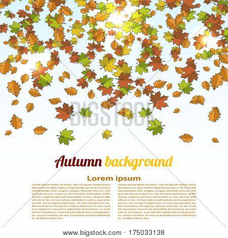 Autumn background with colored maple leaves. changing seasons illustration. Banner card poster. Cartoon style. Stock vector illustration