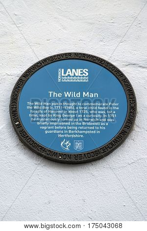 NORWICH UK - JANUARY 17TH 2017: A blue plaque located in Norwich detailing the location and history of The Wild Man pub taken in Norwich on 17th January 2017.