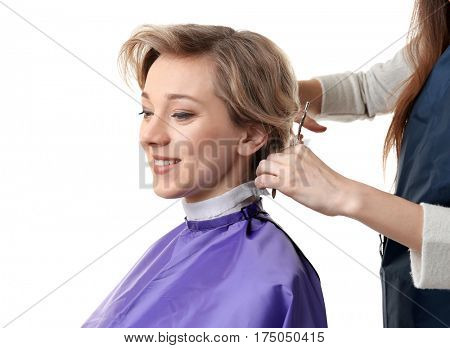 Hairdresser working with client on white background