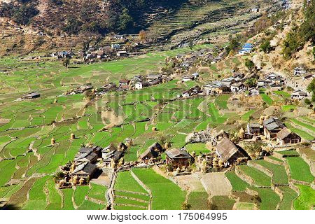 Dogadi village with terraced rice or paddy field - beautiful village in Western Nepal