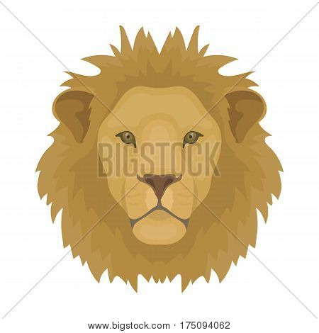 Lion icon in cartoon design isolated on white background. Realistic animals symbol stock vector illustration.