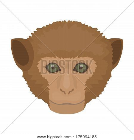 Monkey icon in cartoon design isolated on white background. Realistic animals symbol stock vector illustration.