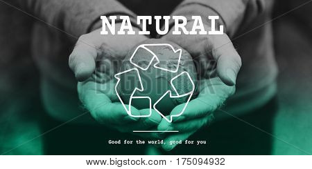 Recycle icon eco friendly green