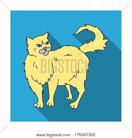 Persian icon in flat design isolated on white background. Cat breeds symbol stock vector illustration.