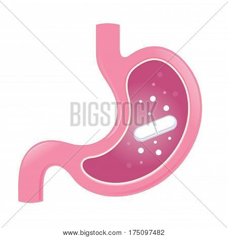 Vector stock of stomach icon being cured by medicine pill