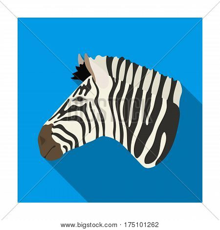 Zebra icon in flat design isolated on white background. Realistic animals symbol stock vector illustration.