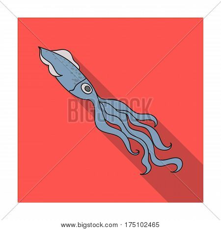 Squid icon in flat design isolated on white background. Sea animals symbol stock vector illustration.