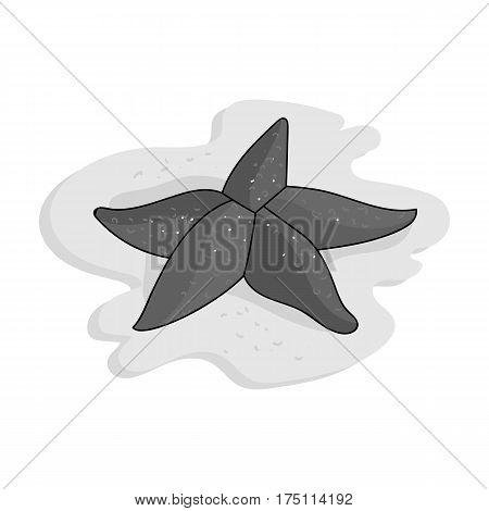 Seastar icon in monochrome design isolated on white background. Sea animals symbol stock vector illustration.
