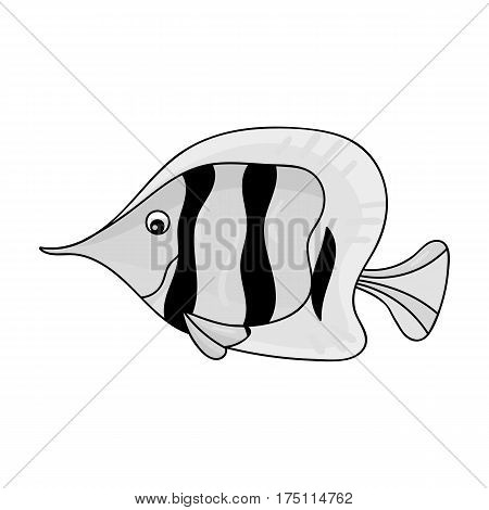 Angel fish icon in monochrome design isolated on white background. Sea animals symbol stock vector illustration.