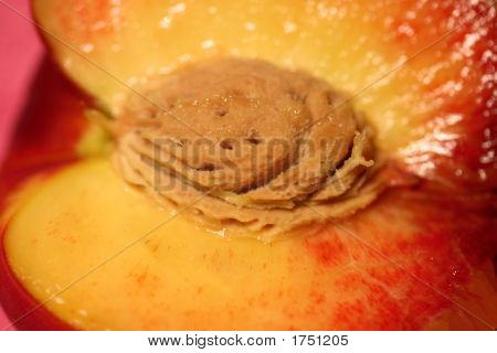 Nectarina
