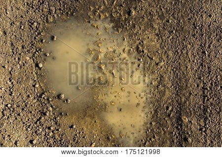 Close up wet country road in a spring natural abstract background