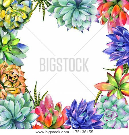 Wildflower succulentus flower frame in a watercolor style isolated. Full name of the plant: succulentus. Aquarelle wild flower for background, texture, wrapper pattern, frame or border.