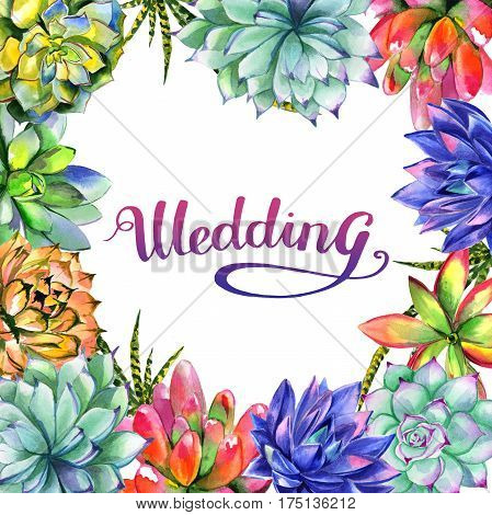 Wildflower succulentus flower frame in a watercolor style isolated. Full name of the plant: succulentus. Aquarelle wild flower for background, texture, wrapper pattern, frame or border.