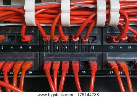 Red network patch cord cables connected to switch patch panel in data center. Internet technology background