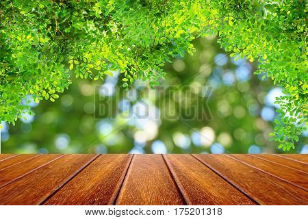 perspective wood table and nature green leaves on abstract spring forest background.