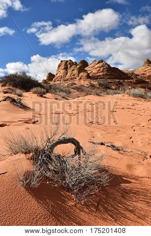 Coyote Buttes South