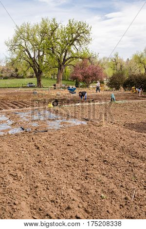 Community Garden