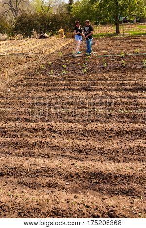 Community Garden