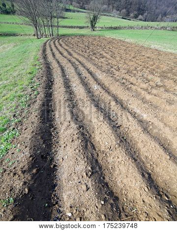 Vegetable Garden Plow  When It Is Sown In The Spring From The Fa