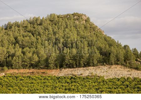 Landscape around Argelita in Castellon in Spain