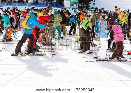 Ski Resort
