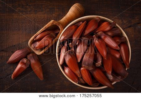 Pinhao - Brazilian Pine