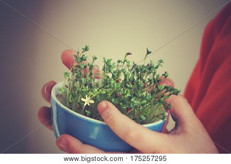 cuckooflower Easter in a small porcelain bowl in baby hands