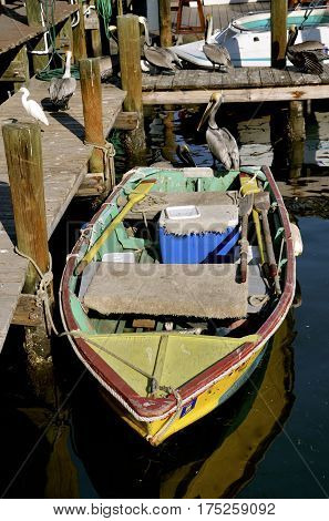 An old colorful wooden rowboat is docked with two sets of oars, ropes, and a cooler is in a setting shared with pelicans, and an egret.