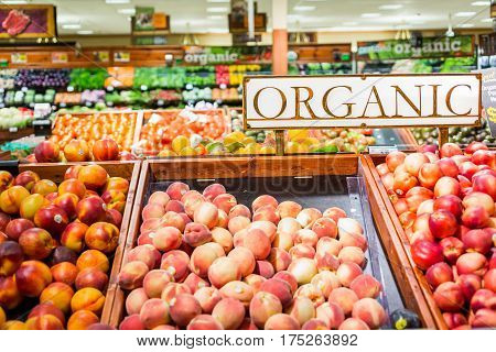 Grocery Store