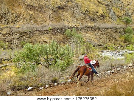 Latin Cowboy Riding Horse