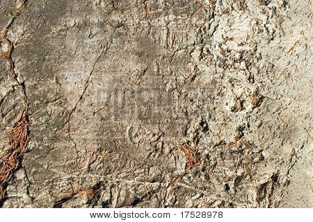 En layerd rock bakgrundsstruktur från oslo, Norge.
