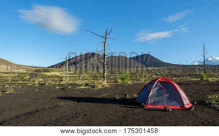 Tourist tent in Dead wood - a consequence of a catastrophic release of ash during the eruption of the volcano in 1975 Tolbachik