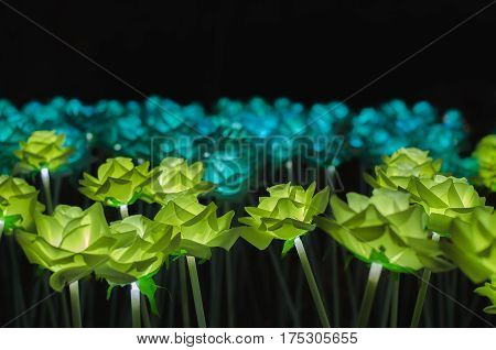 The flowers have a light night  bright, bush, celebration
