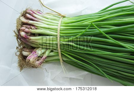 Bunch of green onions with chives on white background. Macro.