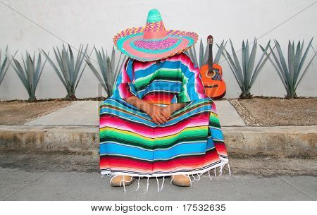 Meksykańskie Leniucha siedzieć serape Agawa gitara nap siesta typowy temat
