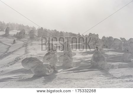 very beautiful snow monster at zao mountain yamagata japan