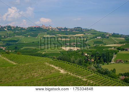 Generic view of Langhe hills on a summer day